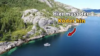 Riesen Pollack aus dem Fjord - So klappt´s an der Steilküste