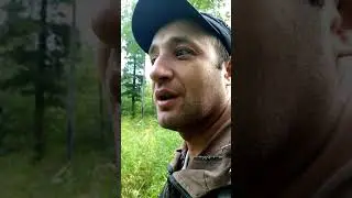 Отправить