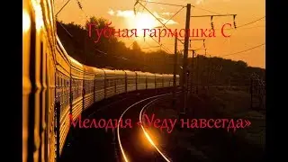 Губная гармошка С,  