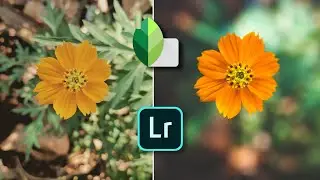 snapseed photo editing tutorial|photo editing lightroom malayalam