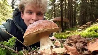Šílený houbařský úlovek! Kolik hub jsme nasbírali s Marií?