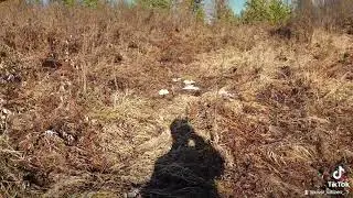 Настоящие сибирские мужики какают возле палатки !!!