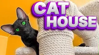 DIY Cat Tree | How to Make a Cat Scratching Post | Oriental Cat