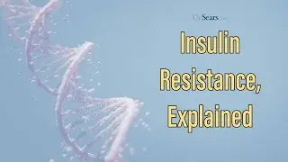 Insulin Resistance, Explained
