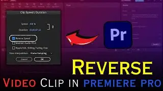 REVERSE a VIDEO CLIP in Premiere Pro (2025)