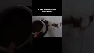 24 hours in my day with pif, online on my channel 😆