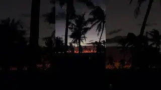 NIGHT AFRICA PALM TREES MOZAMBIQUE НОЧЬ АФРИКА ПАЛЬМЫ #shorts #africa #palm #night #африка #ночь