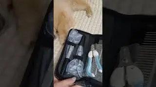 купили набор для груминга