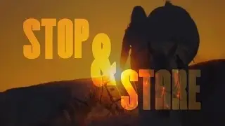 Stop & Stare |↠ Contest Entry