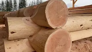 A Log House Log: Behind the Scenes tutorial. #bclogschool #loghouse #logwork #logtalkwithdave #cabin