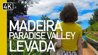 Madeira, Paradise Valley Levada 4K Walking Tour | Narrated