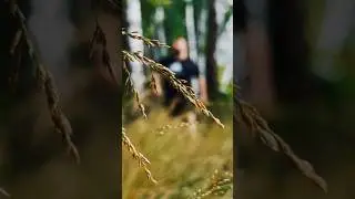 Прогулка по Лесу 🌿