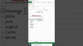 the PROPOER function in Excel | Muabi Design