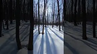 Программисты и Вертикальные видео: Опасность 
