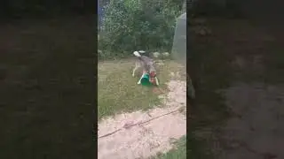 Садовод - помощник