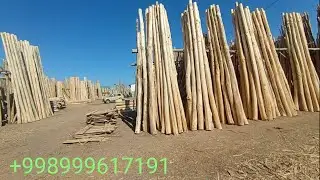 Гурлан ёгоч бозори нархлари 1 Сентября 2022 +998999617191