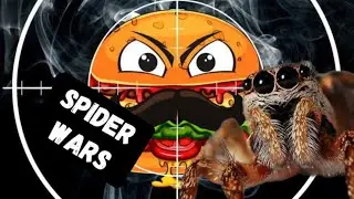 Spider Wars
