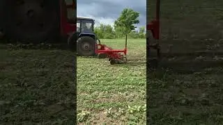 Междурядка На Мтз 82 #farming #automobile #shorts#мтз
