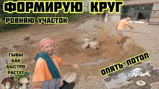 Ровняю участок, формирую круг, опять потоп, грибы быстро растут🏡√412 Строим Дом 23.08.2024
