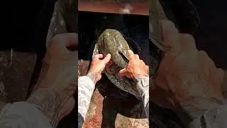 Серёжа ну что ты рыбу отпускаешь!!