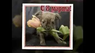 Ах,какая женщина! Поздравляю всех женщин с 8 марта!