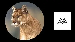 mrsimon - Safari (Official audio) 🎧