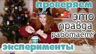 Марго - экспериментатор и видео из Facebook