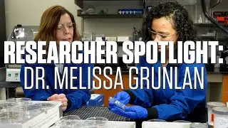 Researcher Spotlight: Dr. Melissa Grunlan