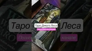 Таро дикого леса #таро #тародикоголеса #таролог #тароонлайн #обзорколоды #колодатаро