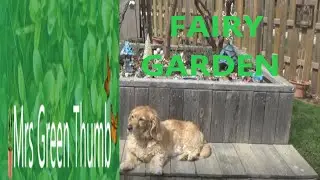 Fairy Garden
