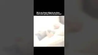 memes from internet