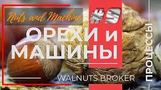Переработка грецкого ореха Китай Америка Украина от Walnuts Broker