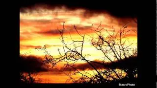 MacroPhoto | Photography Sampler