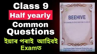 Class 9 half yearly 2024 English common long questions SEBA board