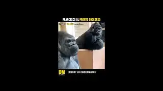 Francesco al pronto soccorso