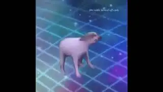 NEW INTRO