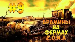 Фермы. GTA SAMP Z.O.N.A.Брамины,Кеши и прочая дичь
