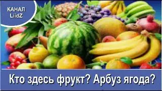 Кто здесь фрукт? Арбуз ягода?