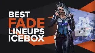 The Best Fade Lineups on Icebox