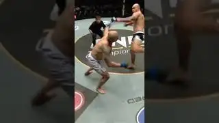 kick knockout ufc