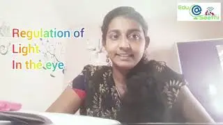 Windows of Knowledge | Biology | Class 10 | Chapter 2 | Part 2 | Edu Saathi