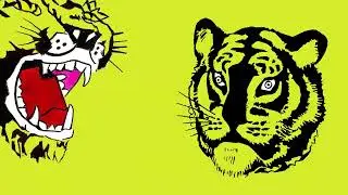 Mary Timony - Summer (Official Lyric Video)