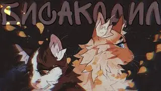 Коты Воители - Бисакодил [Клип]