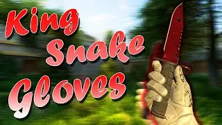 CS:GO MOD for CS:S ★ Водительские перчатки | Королевский Змей
