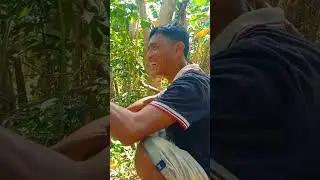 BANA GIBIYAAN UG ASAWA KAY WALA KAAGWANTA SA KALISUD
