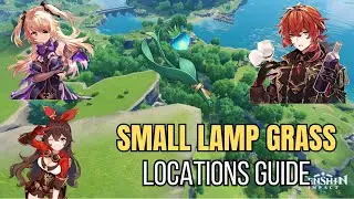 Small Lamp Grass Locations Guide | Genshin Impact (Farming Route)