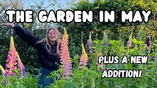 A Walk Around the Forest Garden in May