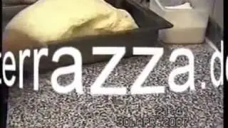 DIE ECHTE LÄNGSTE PIZZA DER WELT