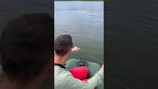 Максимально странная находка 