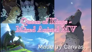 Queen of Kings | | Mixed Animal MV | | Wings of Fire / Warrior Cats / Domain of the Wolf Music Video